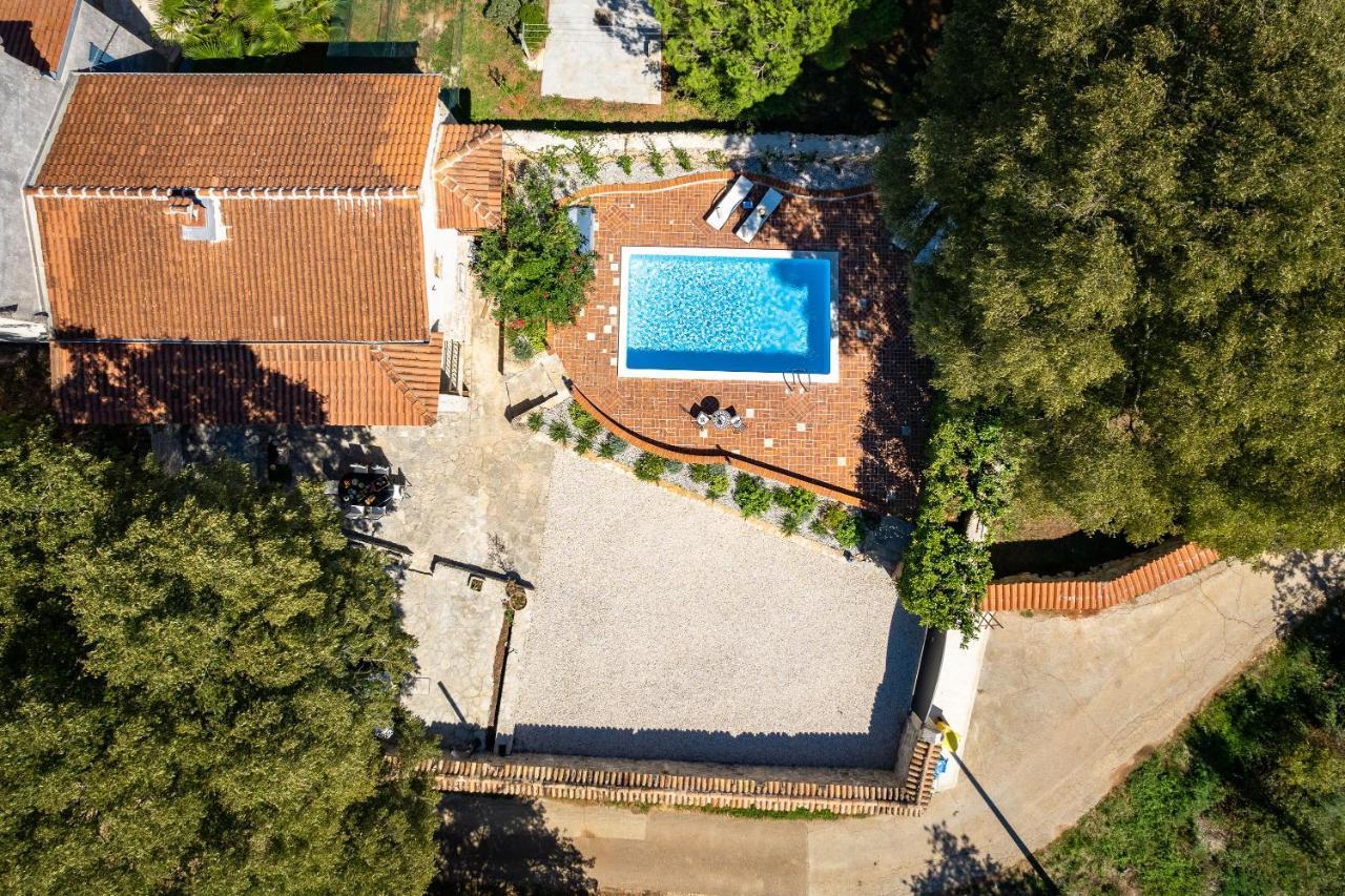 פורץ Villa Arboretum מראה חיצוני תמונה